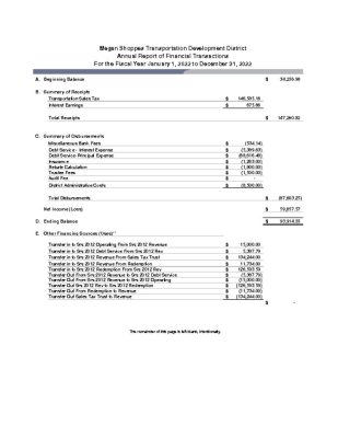 thumbnail of 2022 Megan Shoppes TDD Financial Report