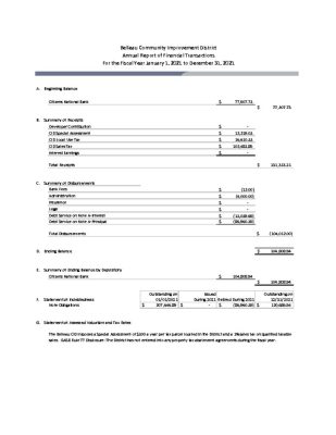 thumbnail of Belleau CID Financial Report 2021