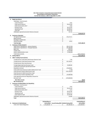 thumbnail of Elm Point Commons CID Financial Report 2021